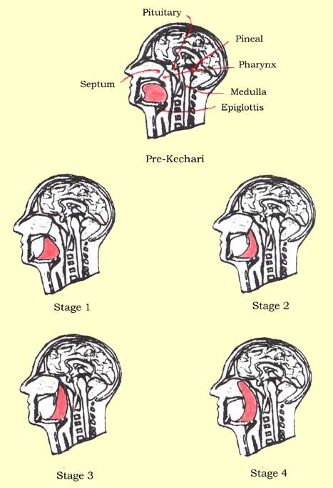 Kechari stages