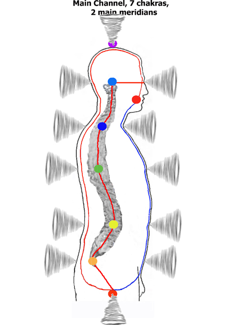 Chakras & spinal nerve